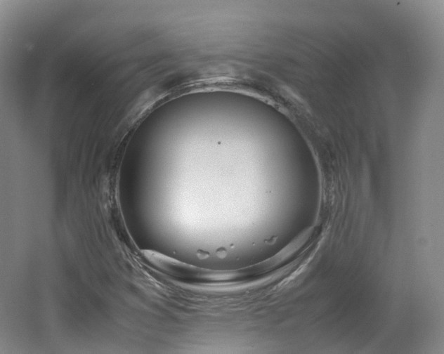 X0000062801353200512221353