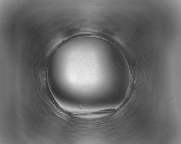 X0000062801355200512221353