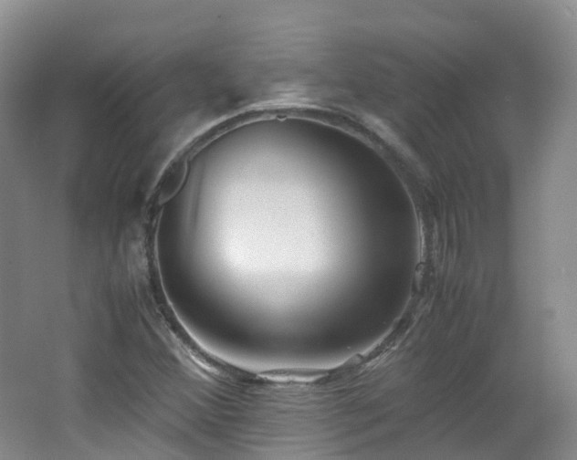 X0000062801356200512221353