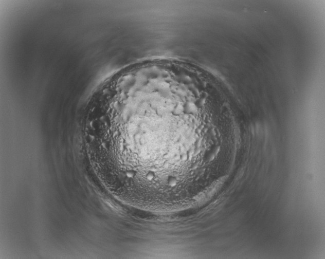 X0000062801359200512221353