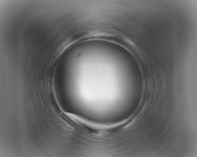 X0000062801361200512221353