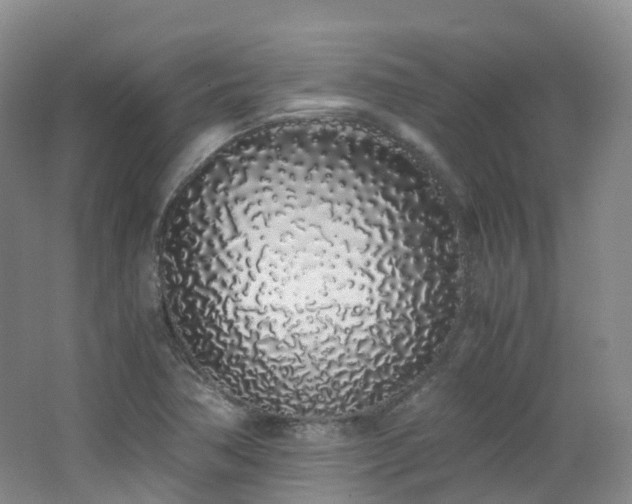 X0000062801362200512221353