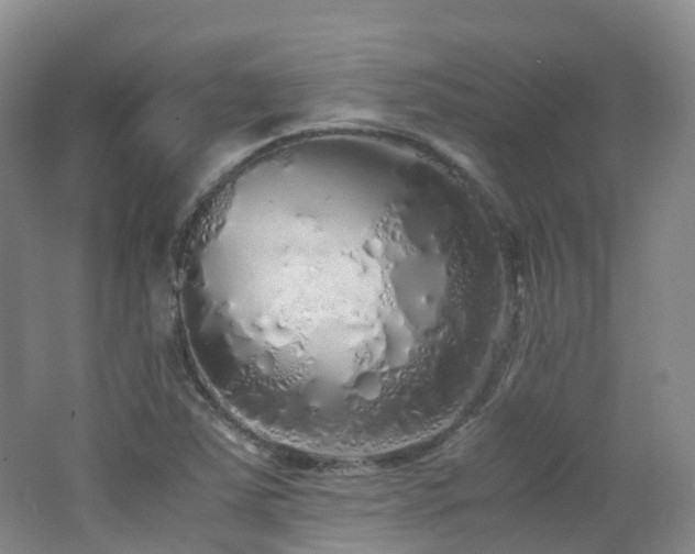 X0000062801363200512221353