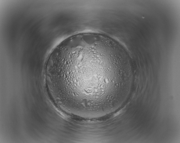 X0000062801367200512221353