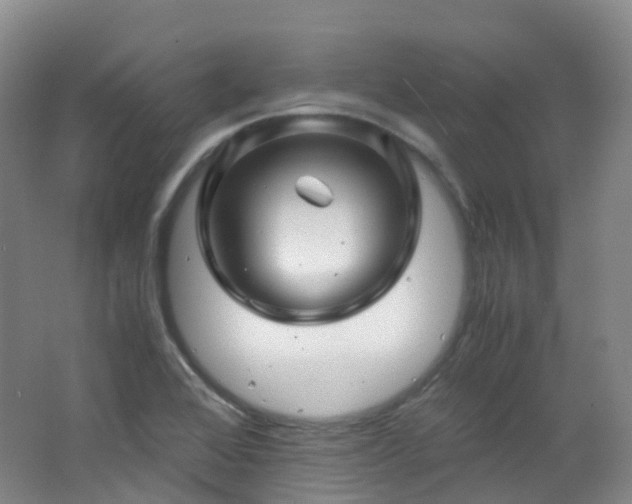 X0000062801368200512221353