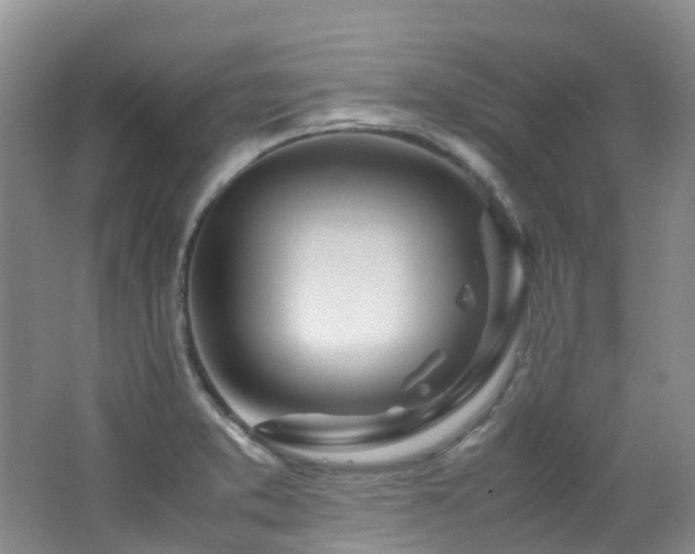 X0000062801373200512221352