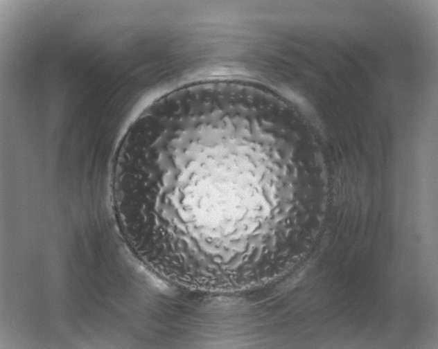 X0000062801374200512221352