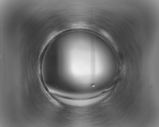X0000062801376200512221352
