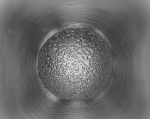X0000062801378200512221352