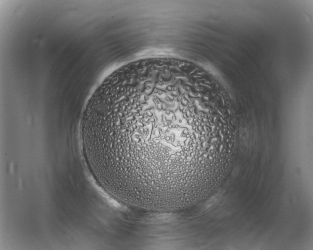 X0000062801382200512221352