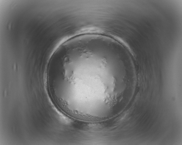 X0000062801383200512221352