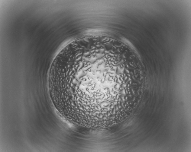 X0000062801386200512221352