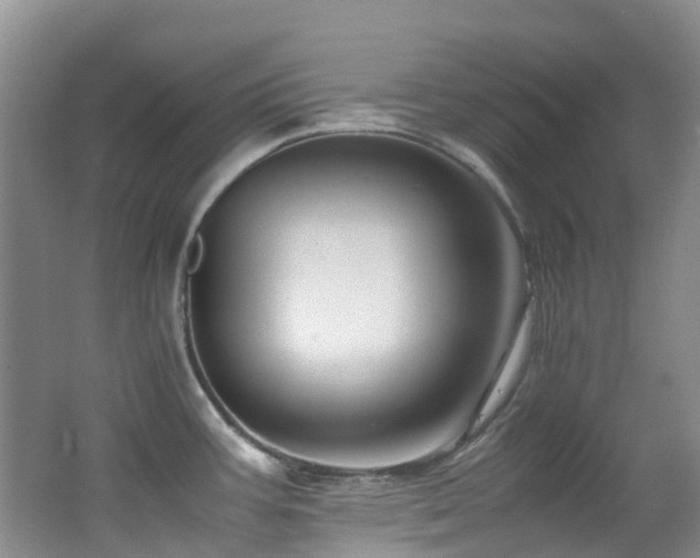 X0000062801387200512221352