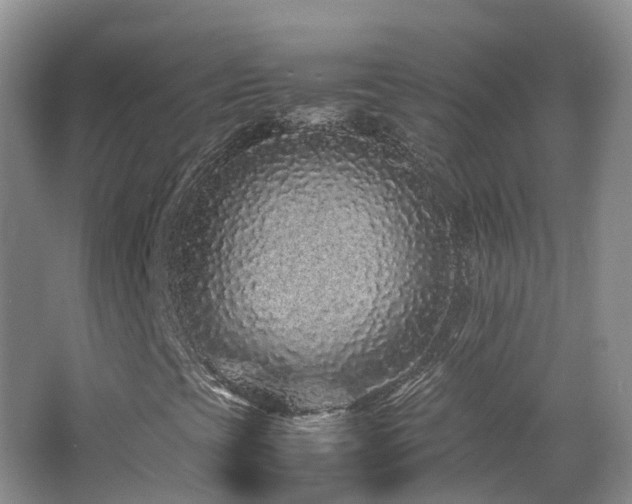 X0000062801393200512221351