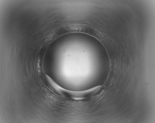 X0000062801394200512221351