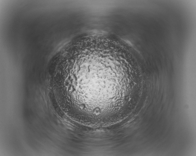 X0000062801399200512221351