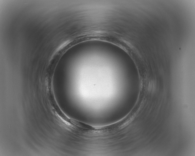 X0000062801402200512221351