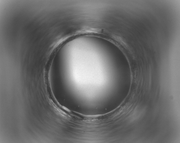 X0000062801404200512221351