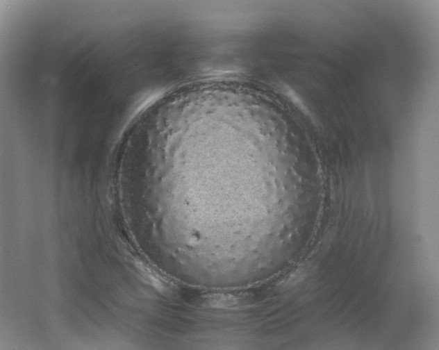 X0000062801405200512221351