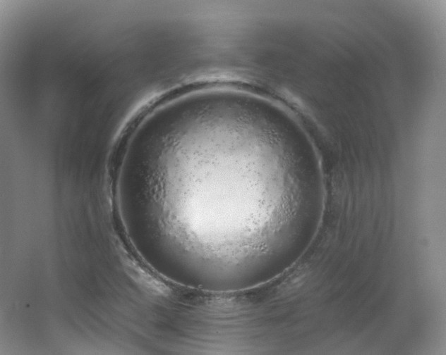 X0000062801408200512221351