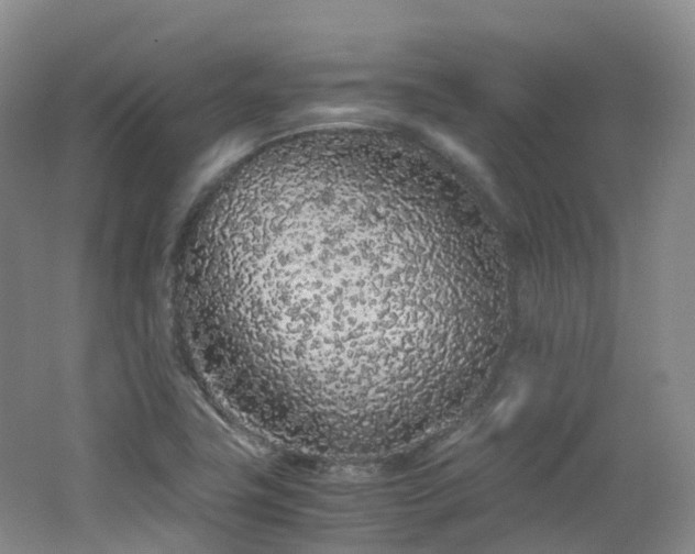 X0000062801411200512221352