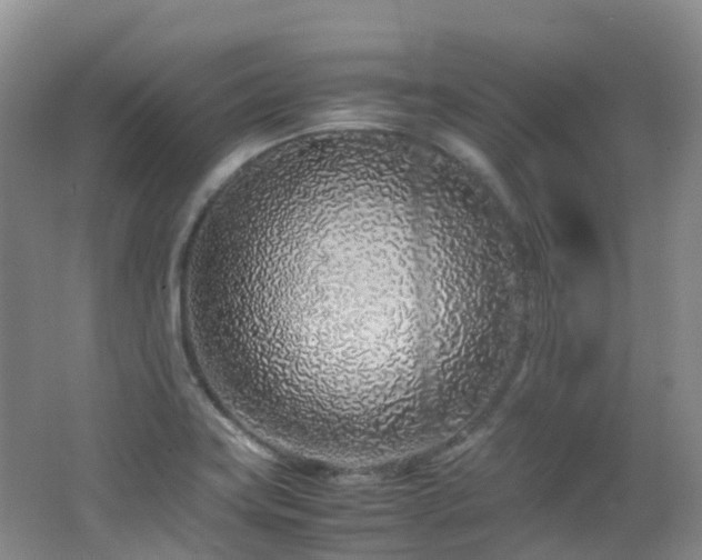 X0000062801419200512221352