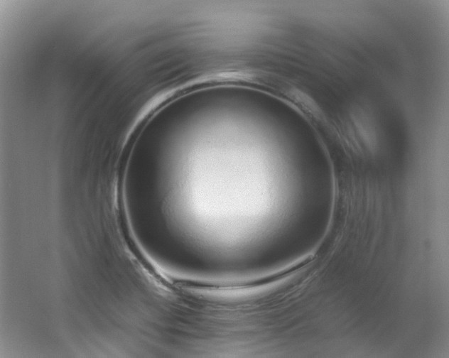 X0000062801420200512221352