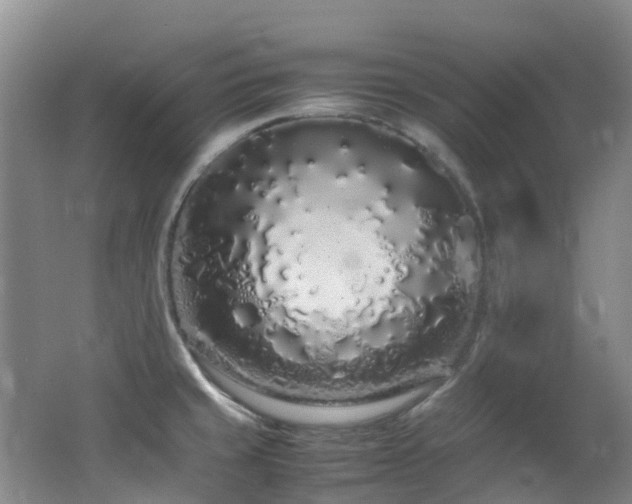 X0000062801429200512221352