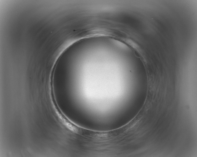 X0000062801431200512221352