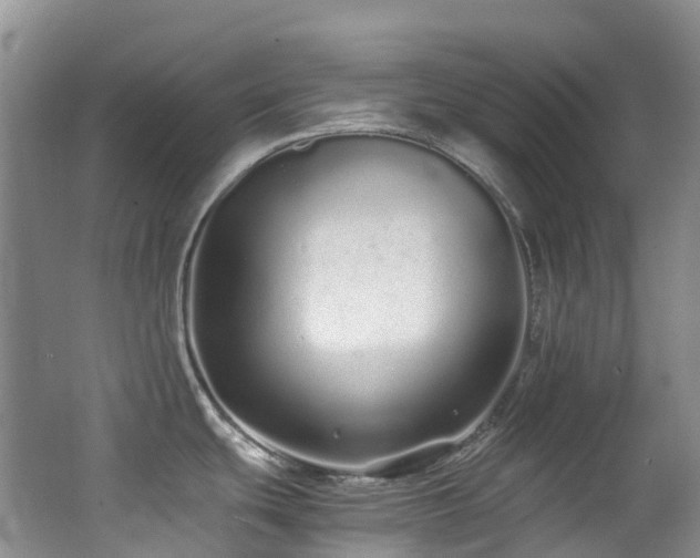 X0000062801439200512221352