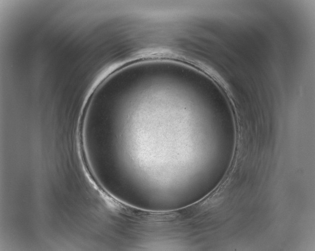 X0000062801440200512221352