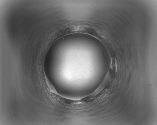 X0000062801441200512221351