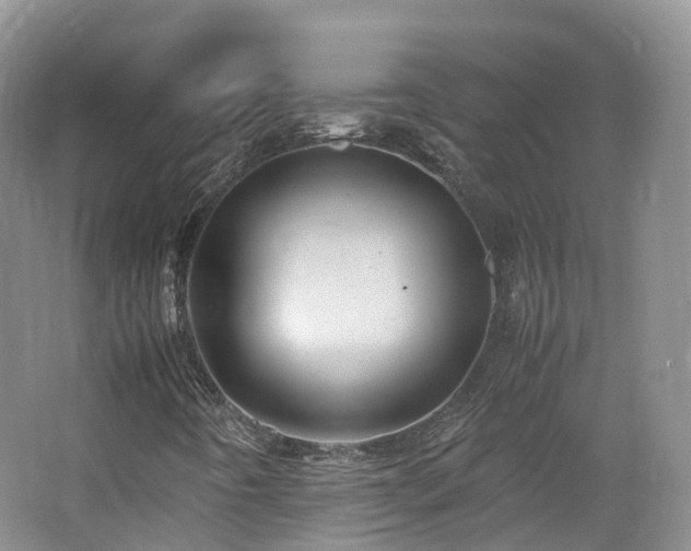 X0000062801442200512221351