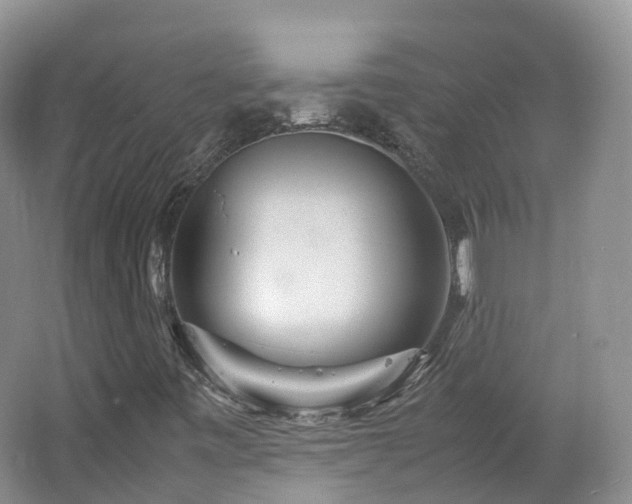 X0000062801443200512221351