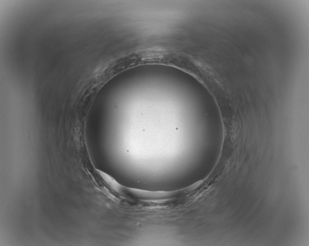X0000062801445200512221351