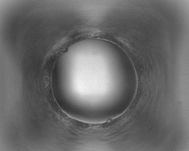 X0000062801447200512221351
