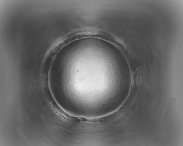 X0000062801448200512221351