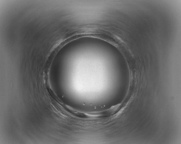 X0000062801449200512221351