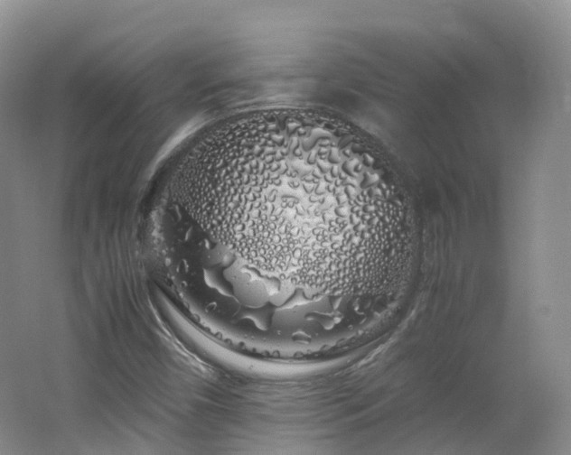 X0000062801450200512221351
