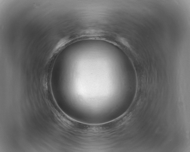 X0000062801451200512221351