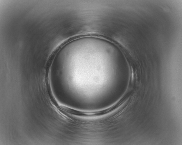 X0000062801452200512221351