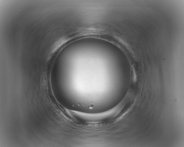 X0000062801453200512221351