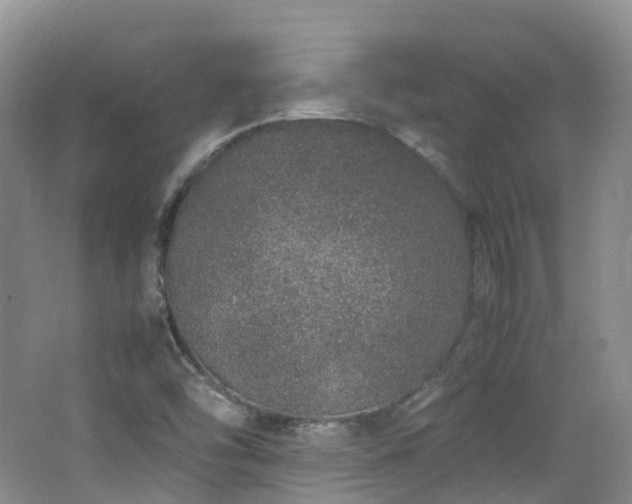 X0000062801454200512221351