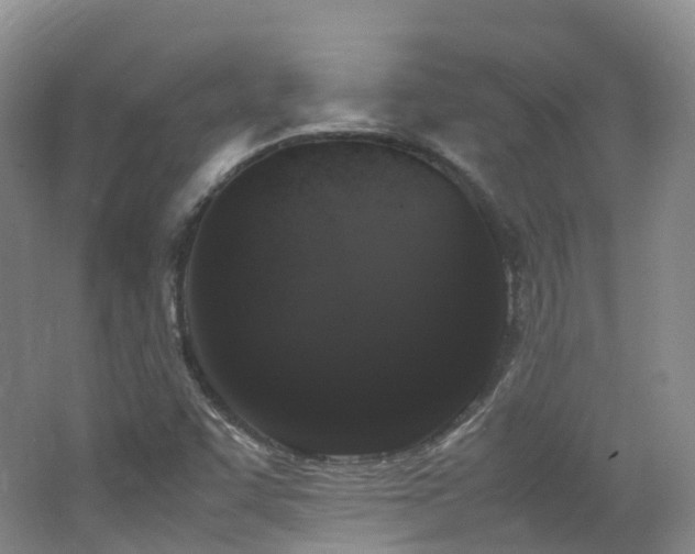 X0000062801455200512221351
