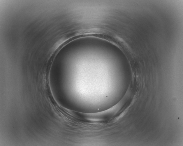 X0000062801457200512221351