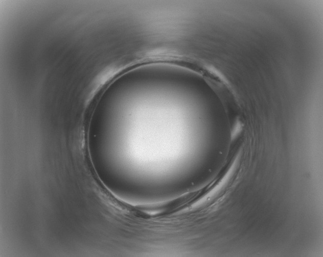 X0000062801461200512221351
