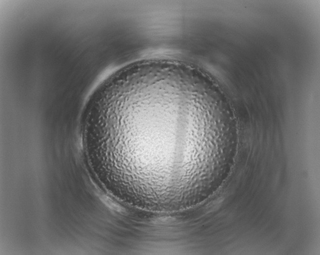 X0000062801462200512221351