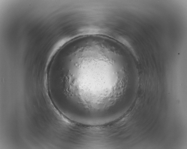 X0000062801472200512221351