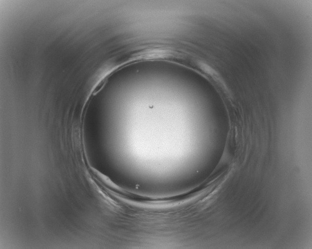 X0000062801473200512221351