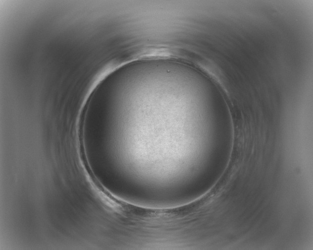 X0000062801475200512221351